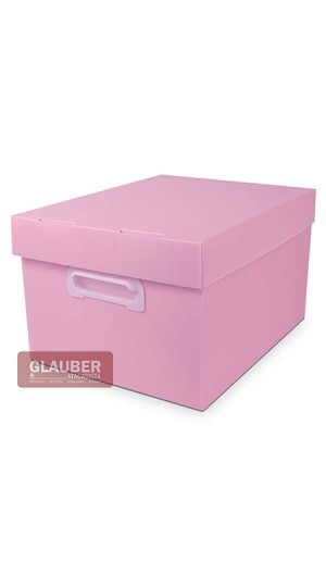 CAIXA ORG. 212X280X370MM M - THE BEST BOX