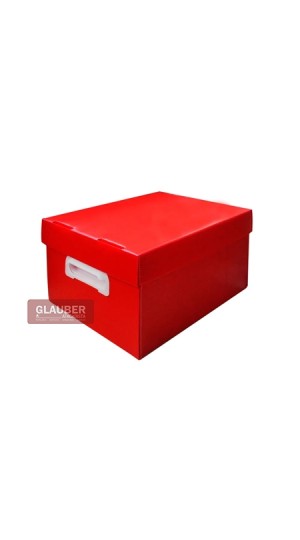 CAIXA ORG. 212X280X370MM M - THE BEST BOX