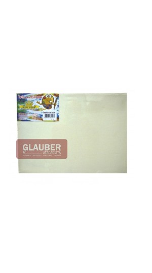 TELA P/PINTURA 40X50